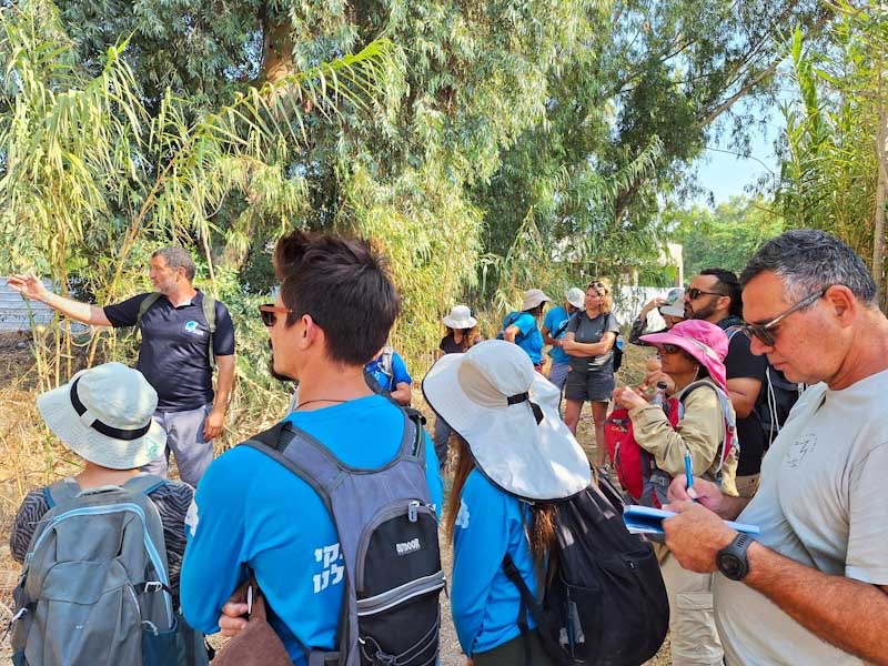 שביל סובב כנרת, איגוד ערים כנרת